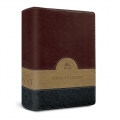 Bíblia de Estudo NVI - edição de luxo - capa PU verde, bege e vinho
